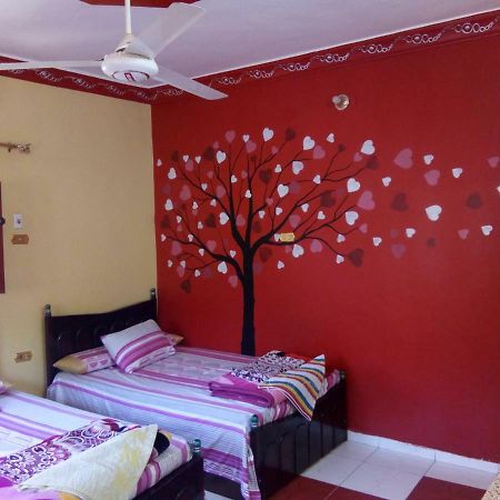 El-Amin Guest House Aswan Exterior photo